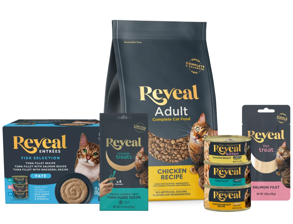 kedi maması, sağlıklı pet gıda, Karaman pet shop, kedilere uygun ürünler, doğal kedi yiyecekleri, kedi maması, sağlıklı pet gıda, Karaman pet shop, kedilere uygun ürünler, doğal kedi yiyecekleri,