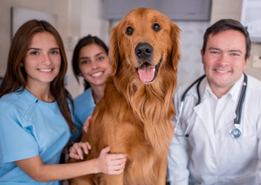 Burdur veteriner, hayvan sağlığı, evcil hayvan bakımı, veteriner hizmetleri, Burdur klinik,veteri Burdur veteriner, hayvan sağlığı, evcil hayvan bakımı, veteriner hizmetleri, Burdur klinik,veteri