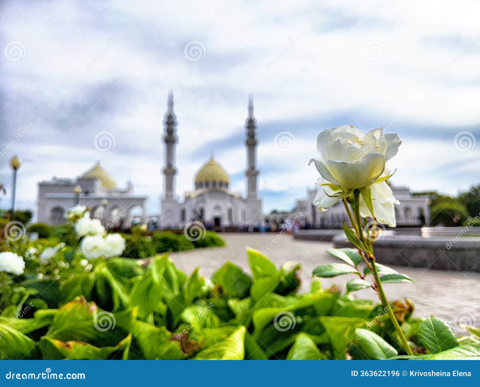 Adıyaman çiçekçi, çelenk siparişi, uygun fiyatlı çiçek gönderimi, acil çiçek teslimatı, özel günl Adıyaman çiçekçi, çelenk siparişi, uygun fiyatlı çiçek gönderimi, acil çiçek teslimatı, özel günl