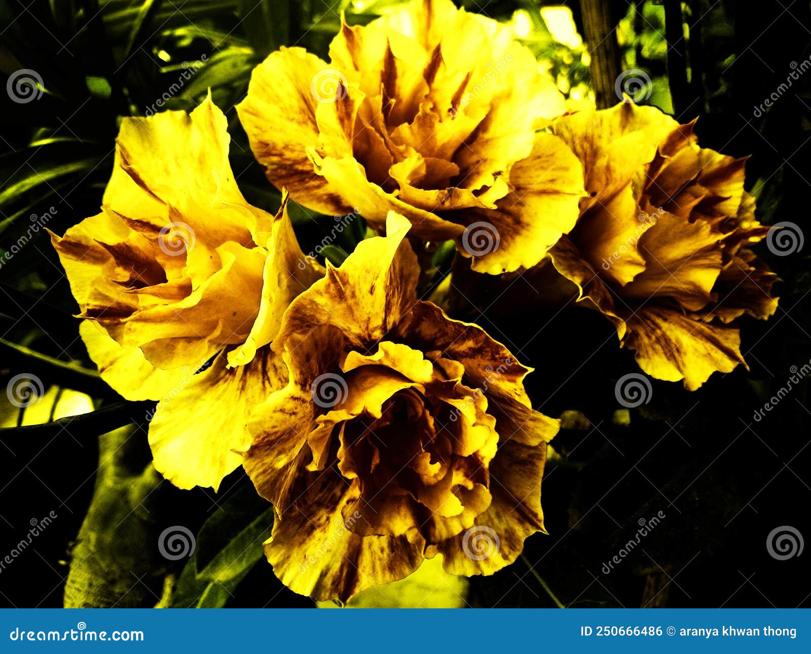 Niğde çiçek gönderimi, çelenk siparişi, niğde çiçekçi, özel çiçek düzenlemesi, uygun fiyatlı çiçe