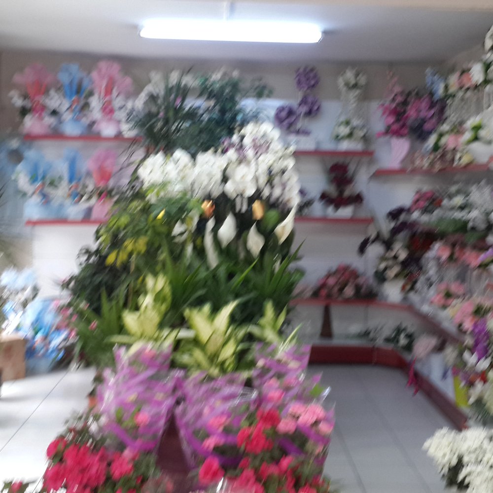 Düzce çiçekçilik, özel çelenk tasarımları, uygun fiyatlı çiçek gönderimi, Düzce çelenk hizmetleri Düzce çiçekçilik, özel çelenk tasarımları, uygun fiyatlı çiçek gönderimi, Düzce çelenk hizmetleri