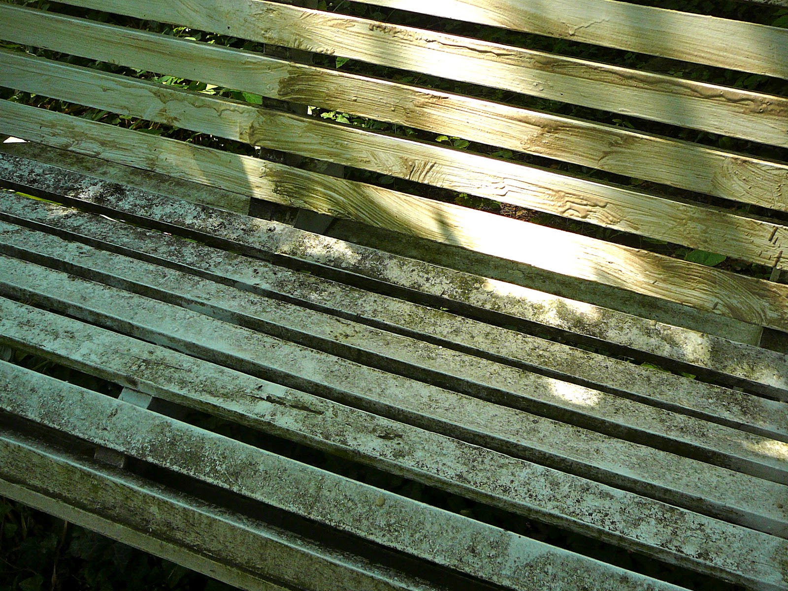 Diyarbakır halı yıkama, halı temizliği, halı yıkama fiyatları, halı bakım hizmetleri, halı yıkama