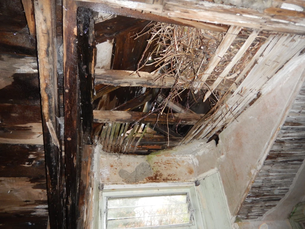 Konya baca temizliği, baca bakım hizmetleri, baca temizleme fiyatları, baca onarımı, güvenli baca Konya baca temizliği, baca bakım hizmetleri, baca temizleme fiyatları, baca onarımı, güvenli baca