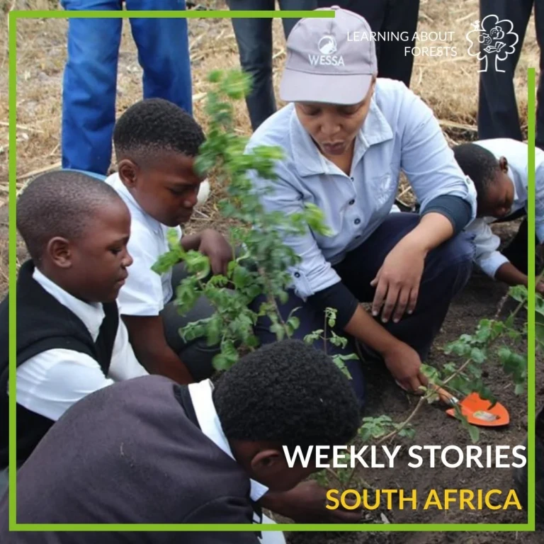Adıyaman bahçıvan, bahçe bakımı, peyzaj tasarımı, çim bakım, bahçıvan hizmetleri, bahçe düzenleme Adıyaman bahçıvan, bahçe bakımı, peyzaj tasarımı, çim bakım, bahçıvan hizmetleri, bahçe düzenleme