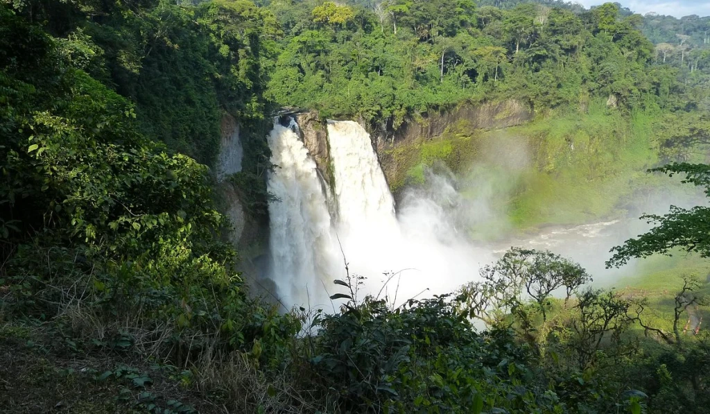 Kamerun Nüfusu, Tarihi ve Bayrağının Anlamı