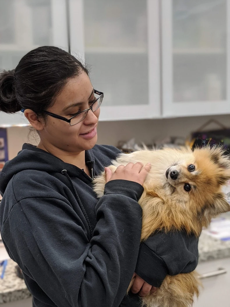 Veterinerin Özellikleri Nelerdir? Başarılı Veterinerde Olması Gerekenler blog-image