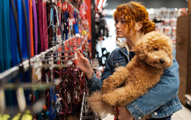 Pet Shop Ne Demek?