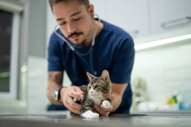 Laborant ve Veteriner Sağlık Nedir?