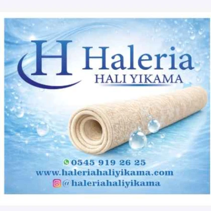 Haleria Halı Yıkama