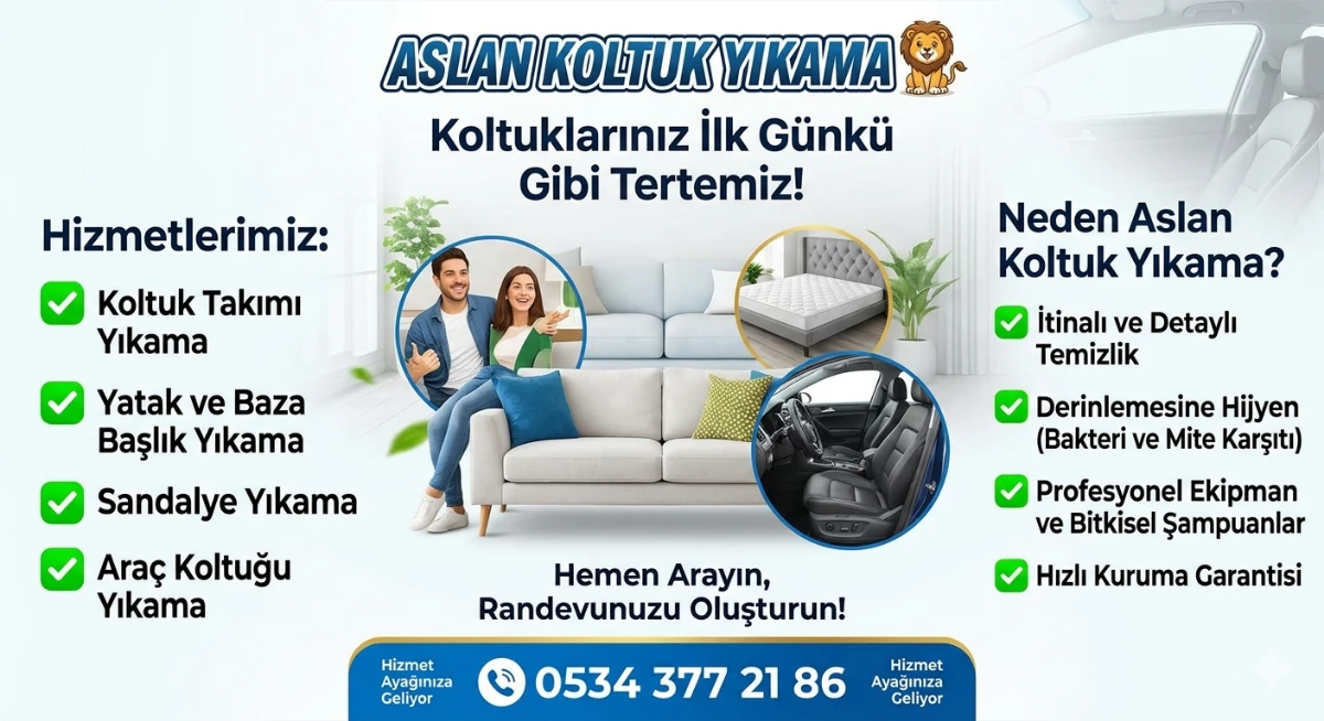 Aslan Koltuk Yıkama