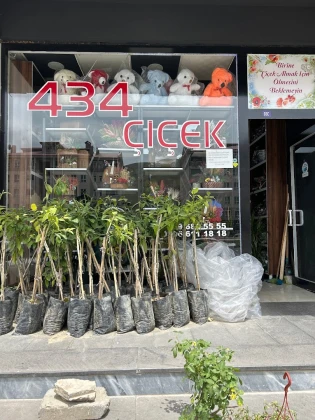 434 Çiçekçilik 434 Çiçekçilik