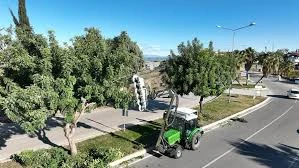 Adana Ağaç Budama Adana Ağaç Budama