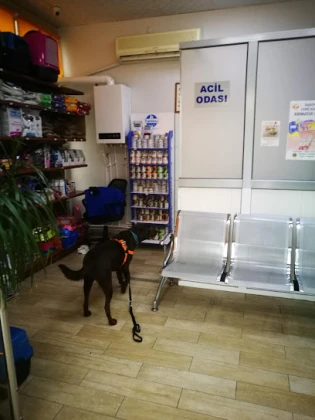 Adana Denizpet Veteriner Kliniği/Yeşilyurt/Baraj Yolu Adana Denizpet Veteriner Kliniği/Yeşilyurt/Baraj Yolu