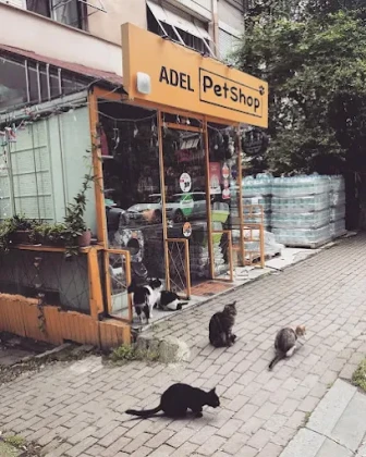 Adel Pet Shop Adel Pet Shop