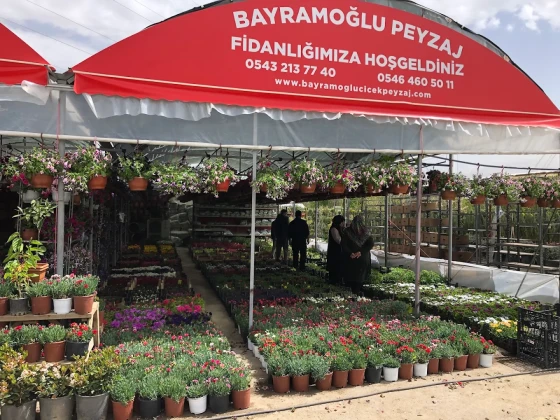 Afyon Peyzaj - Bayramoğlu Peyzaj Afyon Peyzaj - Bayramoğlu Peyzaj