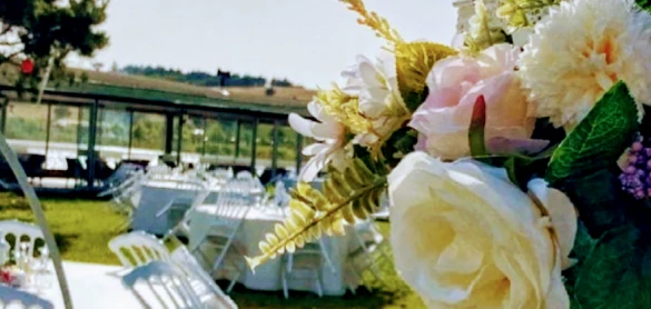 Akçe Organizasyon Bilecik