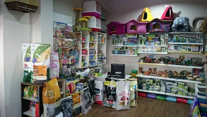 Akvaryuss Pet Shop Akvaryuss Pet Shop