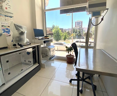 Alibeyköy Veteriner Kliniği Alibeyköy Veteriner Kliniği