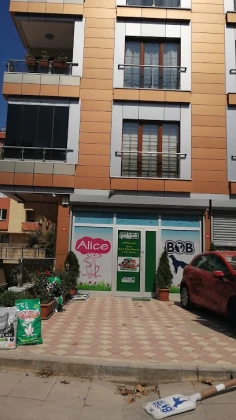 Alice Pet Shop Alice Pet Shop