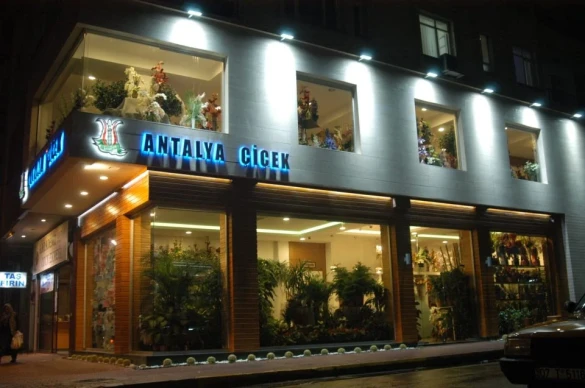 Antalya Çiçek Antalya Çiçek