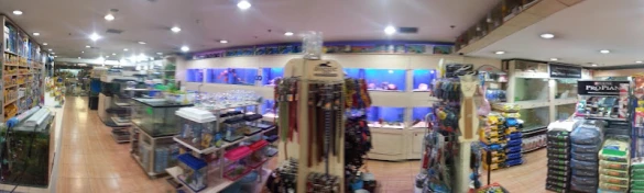 Antares Egece Petshop Antares Egece Petshop
