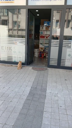 Arçelik Beko Bosch Beyaz Eşya Servisi
