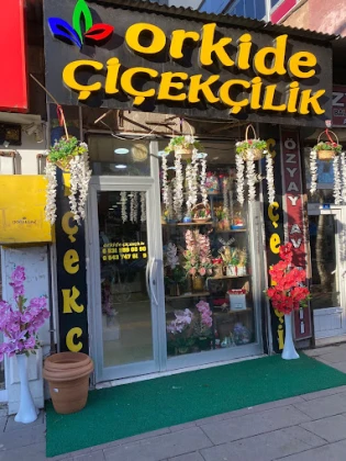 Ardahan Çiçekçilik Orkide Ardahan Çiçekçilik Orkide