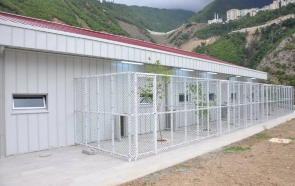 Artvin Hayvan Bakımevi Ve Rehabilitasyon Merkezi