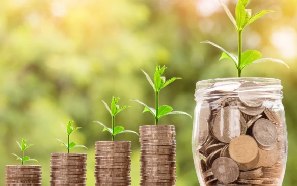 Artvin Yatırım Teşvik