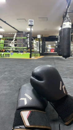Asil Fight Club Asil Fight Club