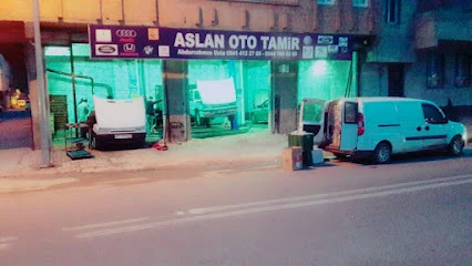 Aslan Oto Tamir