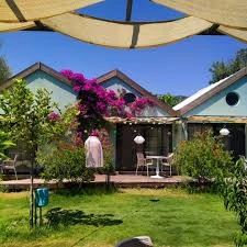 Avlu Tiny Houses Avlu Tiny Houses