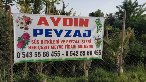 Aydın Peyzaj Aydın Peyzaj