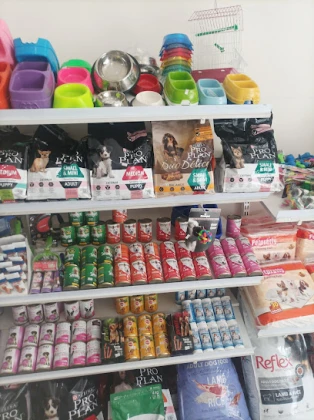 Aypati Petshop Aypati Petshop