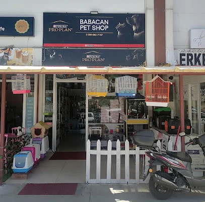 Babacan Pet Shop Eryaman Babacan Pet Shop Eryaman
