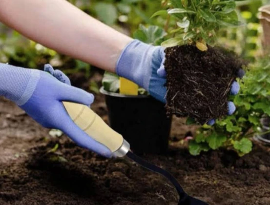 Bahçe Çapalama Ankara