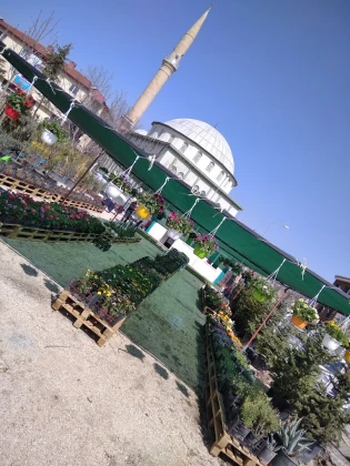 Balikesir Defne Peyzaj Balikesir Defne Peyzaj
