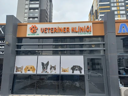 Batıkent Life Veteriner Kliniği-Batıkent Veteriner-Batıkentte Veteriner-Yenimahalle Veteriner Batıkent Life Veteriner Kliniği-Batıkent Veteriner-Batıkentte Veteriner-Yenimahalle Veteriner