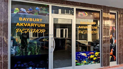 Bayburt Akvaryum Petshop Bayburt Akvaryum Petshop