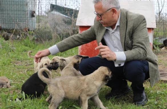 Belediye Hayvan Barınağı Yozgat