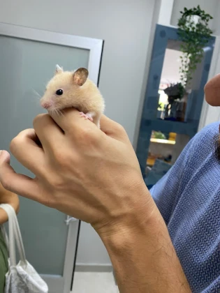 Bella & Vita Veteriner Kliniği Bella & Vita Veteriner Kliniği