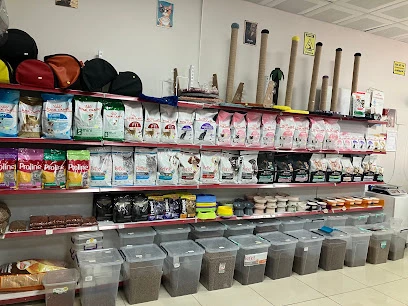 Beril Petshop Beril Petshop