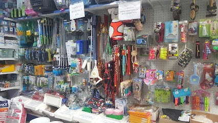 Betta Marketim Petshop Betta Marketim Petshop