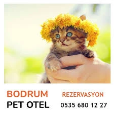 Bodrum Pet Otel Bodrum Pet Otel