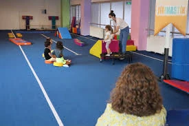 Bursa Sportif Spor Kulübü (Basketbol,Voleybol, Taekwondo,Cimnastik) Bursa Sportif Spor Kulübü (Basketbol,Voleybol, Taekwondo,Cimnastik)