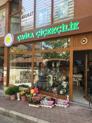 Çağla Çiçekçilik Çağla Çiçekçilik