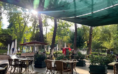 Çamlık Çay Bahçesi / Hayat Kahvesi Çamlık Çay Bahçesi / Hayat Kahvesi