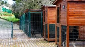 Çanakkale Köpek Oteli Pansiyonu / Tayfun Pet Hotel Çanakkale Köpek Oteli Pansiyonu / Tayfun Pet Hotel