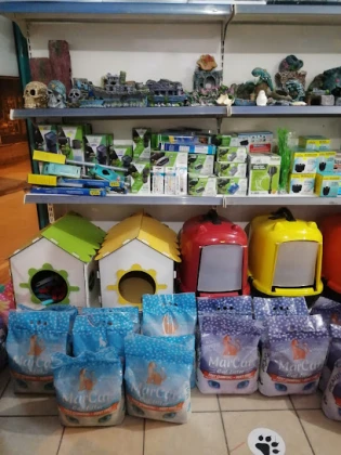 Canan Petshop Canan Petshop