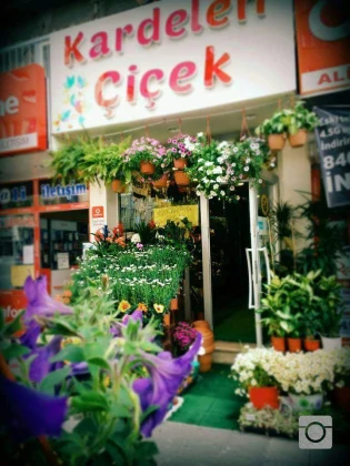Çankırı Kardelen Çiçekçilik Çankırı Kardelen Çiçekçilik